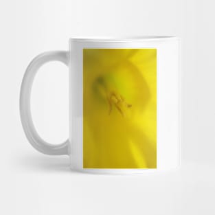 Daffodil Macro Mug